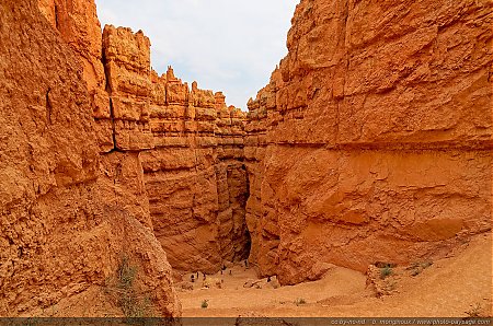Navajo-loop-trail.jpg