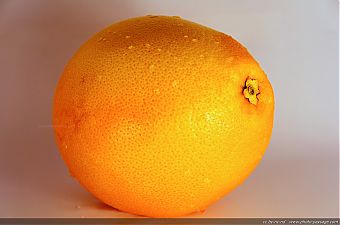 Pamplemousse Pamplemousse