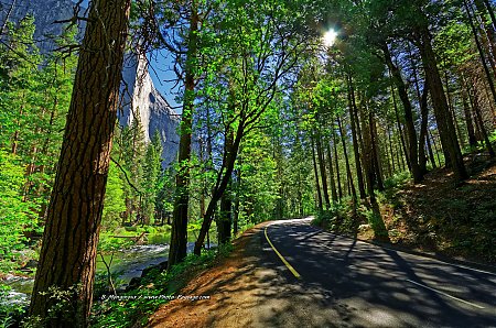 Sur-la-route-dans-la-vallee-de-Yosemite.jpg