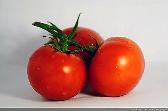 Tomates Tomates