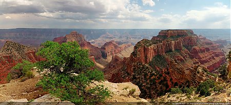 Vue-panoramique-du-Grand-Canyon-depuis-Cape-Royal.jpg