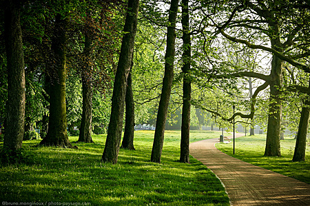 Ambiance-zen-parc-Bruges-IMG_1080.jpeg