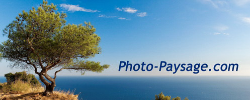 Photo-Paysage.com : paysages de nature, photos de voyages, fonds d'écran HD gratuits*, images sous licence cc by-nc-nd