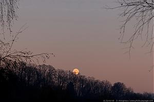 Nom du fichier=lune-ardennaise.jpg
Taille du fichier=1007Ko
Dimensions du fond d'écran (en pixels) : 2879x1915
Image ajoutée dans Photo-Paysage.com le : 12 Janvier 2009 lune-ardennaise.jpg