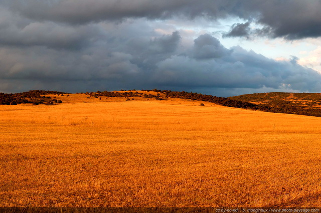 Causse du Larzac
Aveyron
[Grands Causses]
Mots-clés: campagne massif-central larzac aveyron causses rural prairie champs ciel_d_en_bas categ_ete rural