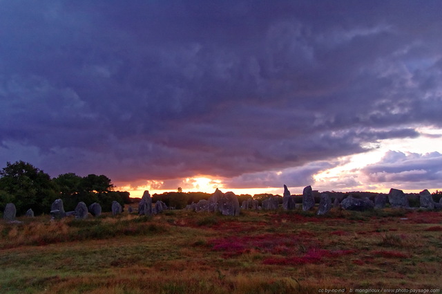 Ciel d'aurore
Lueurs de l'aube au dessus des alignements de menhirs de Kermario
Carnac, Morbihan, France
Mots-clés: celte menhir celtique bretagne carnac morbihan aurore aube megalithe ciel_aube rural