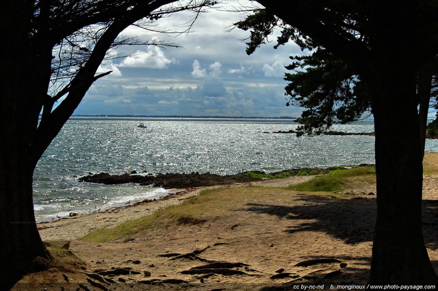 Pointe de Kerbihan
La baie de Quiberon vue
depuis la plage de Ty Guard
(pointe de Kerbihan)
Mots-clés: plage morbihan mer littoral bretagne contre-jour trinite-sur-mer ocean atlantique