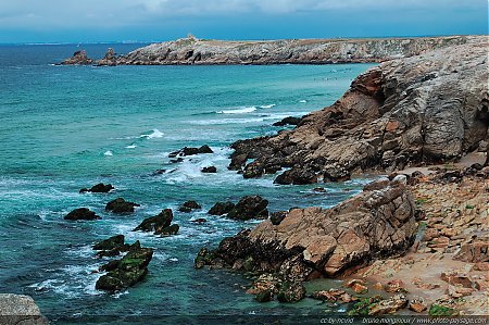 quiberon-cote-sauvage.jpg