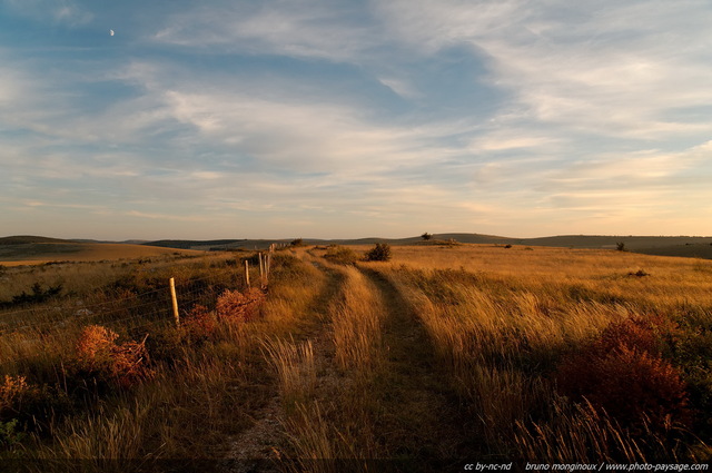 Chemin sur le Méjean
Un chemin sur Causse Méjean éclairé par les rayons du soleil couchant, sous un beau ciel nuageux oà¹ la lune a su trouver sa place. Voici une invitation à  la promenade le long des chemins et sentiers qui parcourent ces superbes paysages de collines dorées, typiques de ces plateaux calcaires dans le Massif Central.
[Cévennes / Grands Causses]
Mots-clés: les_plus_belles_images_de_nature causse_mejean cevennes lozere matin barriere herbe rural meyrueis causses chemin categ_ete rural