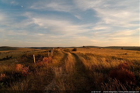 chemin-sur-le-causse-mejean-2.JPG