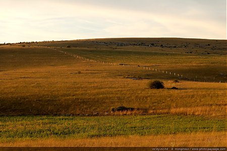 plaines-sur-le-causse_mejean-2.JPG