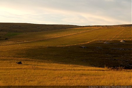 plaines-sur-le-causse_mejean-5.JPG