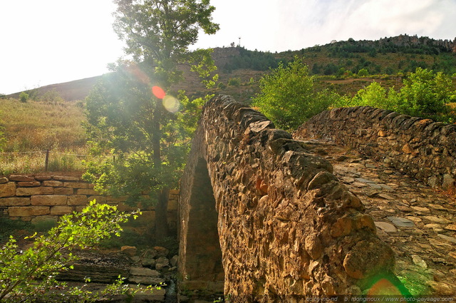 Le pont des six liards
Ayres / Meyrueis (Lozère)
Construit par les moines bénédictins au XIIÂ°
siècle, ce vieux pont reliait le Causse
Méjean (ici à  l'arrière plan) à  l'ancien prieuré de [i]St Martin
des Ayres[/i]. Un taxe de péage de six
liards était perà§ue à  chaque passage, 
d'oà¹ le nom que ce pont a conservé au
fil des siècles.
Mots-clés: categ_pont meyrueis lozere cevennes monument riviere jonte categ_campagne massif_central causses causse_mejean