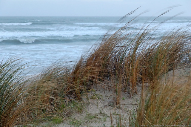Dune sur le Grand Travers
La Grande Motte, 
Hérault, France
Mots-clés: herault bord_de_mer mÃ©diterranÃ©e littoral languedoc-roussillon vagues tempete languedoc_roussillon