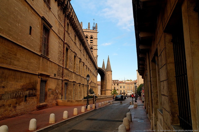 La faculté de médecine de Montpellier
Fondée en 1220, l'École de Médecine de Montpellier 
est la plus ancienne au monde qui soit toujours 
en activité.  
En arrière plan : la cathédrale St Pierre.
Montpellier, France
Mots-clés: montpellier herault languedoc-roussillon paysage_urbain rue monument cathedrale