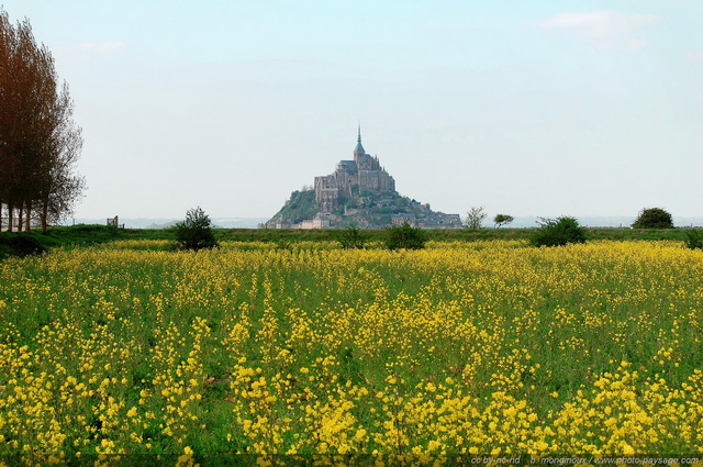 La baie du Mont Saint Michel
Normandie, France
Mots-clés: normandie bretagne mont_st_michel monument littoral mer