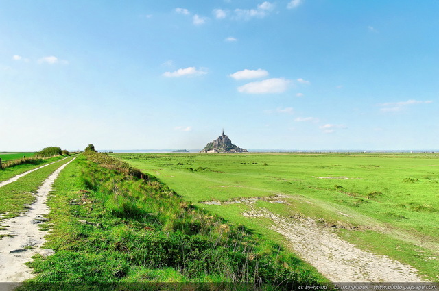 Les prés salés
Baie du Mont St Michel, Normandie, France
Mots-clés: normandie bretagne mont_st_michel monument littoral mer pres_sales