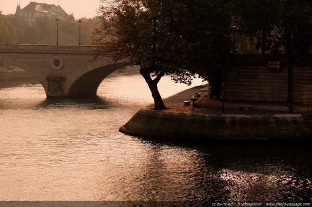 L'île St Louis
Paris, France
Mots-clés: paris seine fleuve quais les_ponts_de_paris ile-saint-louis brume contre-jour