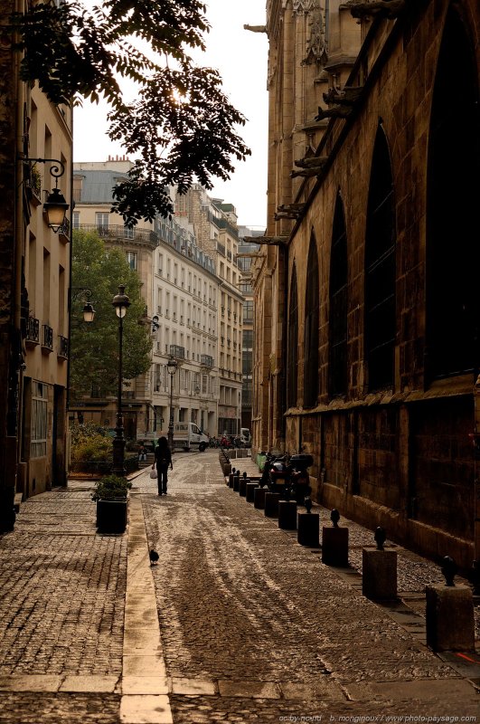 Rue pavée
Paris, France
Mots-clés: paris rue paves cadrage_vertical
