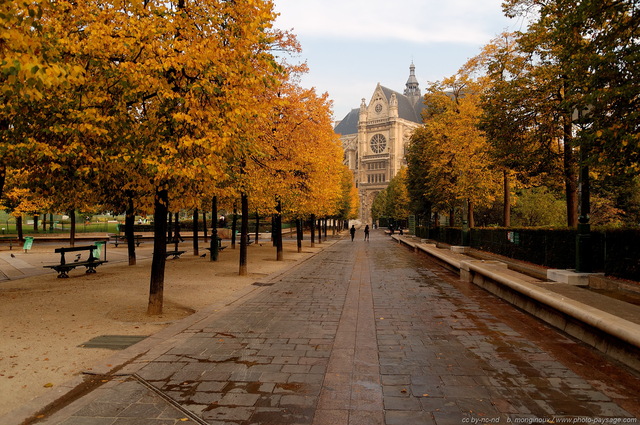 Eglise Saint Eustache
Quartier des Halles, Paris, 1er arrondissement
Mots-clés: paris eglise automne jardin rue paves