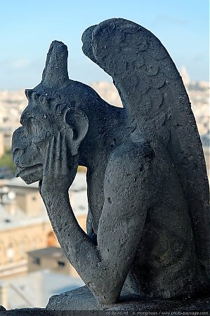 chimere-notre_dame-02.JPG