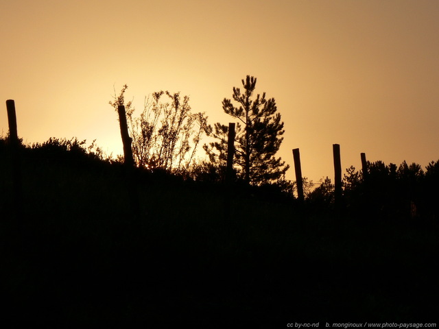 Lever de soleil en contre-jour sur le Causse Méjean
Parc National des Cévennes, France
[Cévennes / Grands Causses]
Mots-clés: buisson lever_de_soleil aurore minimaliste ombre cévennes massif-central lozere causses languedoc-roussillon causse_mejean contre-jour meyrueis rural