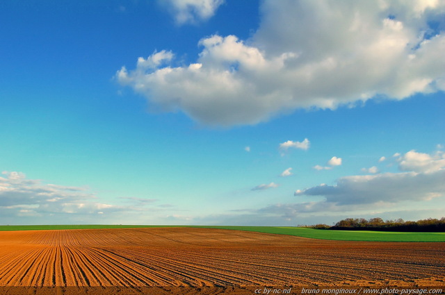 Campagne francilienne
Un champs qui vient juste d'être labouré, et dont les sillons  semblent courir jusqu'à  la ligne d'horizon. Un exemple de culture intensive, oà¹ la recherche de la productivité maximale provoque la suppression dans nos paysages agricoles des haies et bosquets qui faisaient leur charme, tout en étant des protections simples et naturelles contre l'érosion de ces sols agricoles dorénavant fragilisés...
Mots-clés: les_plus_belles_images_de_nature les_plus_belles_images_de_nature ile_de_france ciel_bleu champs campagne culture rural ile-de-france ile_de_france rural campagne