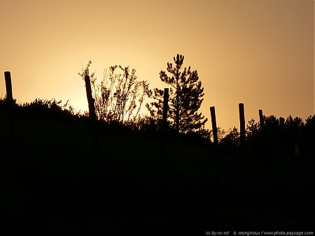 Lozere-Cevennes-Causse_Mejean-Lever_de_soleil-1.jpg