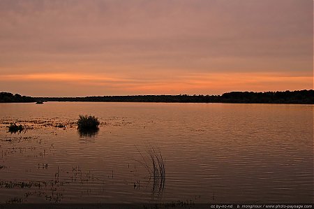 lac-du-der-20.jpg