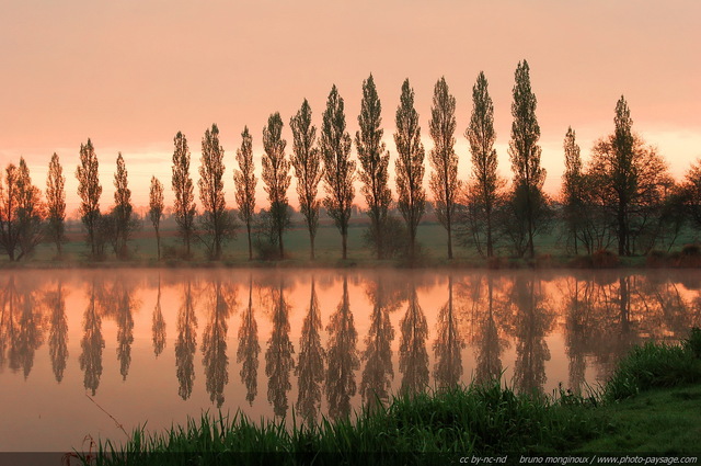 Reflets d'aurore dans un lac en Bretagne
Des peupliers alignés dans la brume matinale au bord d'un lac.
Haute Bretagne, France
Mots-clés: les_plus_belles_images_de_nature aurore contre-jour reflets peuplier brume lever_de_soleil alignement_d_arbre bretagne miroir matin nature aube