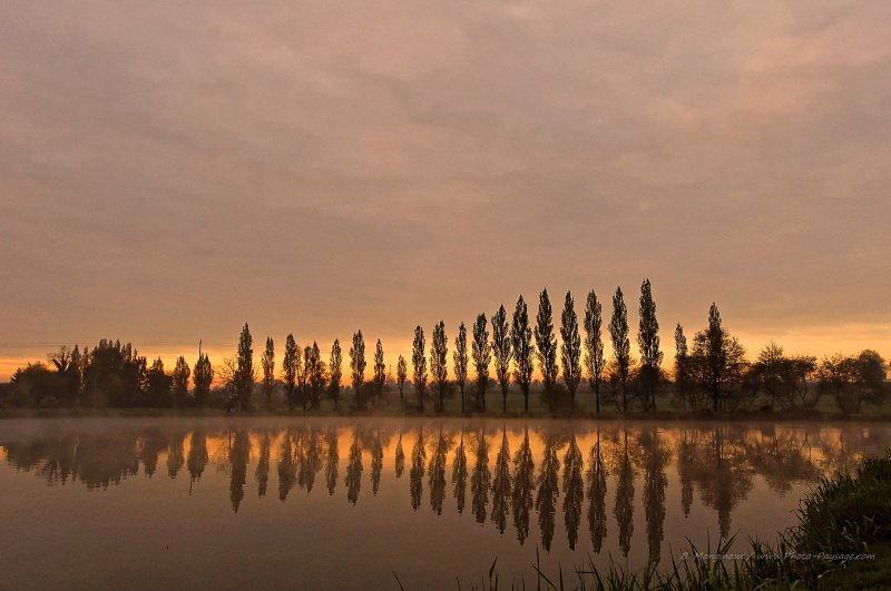 Un alignement de peupliers qui se reflètent dans un lac 
Haute Bretagne, France
Mots-clés: aurore reflets peuplier brume contre-jour lever_de_soleil alignement_d_arbre bretagne miroir matin nature aube
