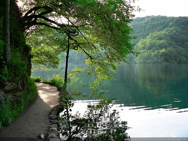 Paysage de Croatie : calme et sérénité en fin d'après midi, promenade au bord d'un des lacs supérieurs de Plitvice
A lire sur le blog : [url=http://www.photo-paysage.com/blog/?p=16] Les lacs de Plitvice[/url]
Mots-clés: chemin brume croatie plitvice brume miroir zen nature sentier categ_ete reflets croatie UNESCO_patrimoine_mondial