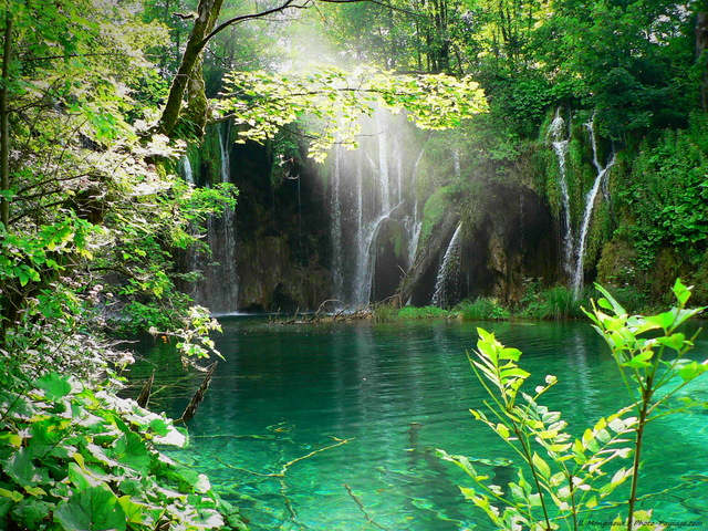 Le paradis sur Terre ?
Une image paradisiaque photographiée dans le Parc National de Plitvice en Croatie.


Mots-clés: les_plus_belles_images_de_nature cascade croatie plitvice nature rayon_de_soleil_en_foret reflets croatie UNESCO_patrimoine_mondial