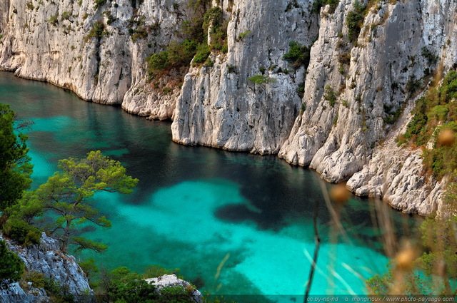 Eaux limpides - Calanque d'En Vau
[Littoral de Provence, entre Cassis et Marseille : 
Le Parc National des Calanques]
Mots-clés: mer mediterranee provence cassis parc_national_des_calanques cote-d-azur en_vau falaise crique marseille categ_ete