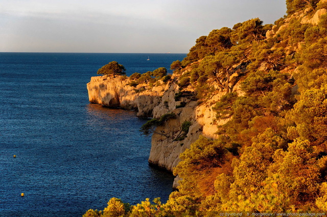 Vers la pointe de la Cacau
Calanque de Port Miou

[Littoral de Provence, entre Cassis et Marseille : 
Le Parc National des Calanques]
Mots-clés: mer mediterranee provence cassis parc_national_des_calanques cote-d-azur crique marseille port-miou categ_ete