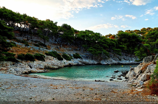 La plage de Port Pin au petit matin
[Littoral de Provence, entre Cassis et Marseille : 
Le Parc National des Calanques]
Mots-clés: mer mediterranee provence cassis parc_national_des_calanques cote-d-azur plage sable port-pin marseille categ_ete