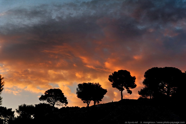 Ciel du levant dans les calanques
[Littoral de Provence, entre Cassis et Marseille : 
Le Parc National des Calanques]
Mots-clés: mer mediterranee provence alep contre-jour cassis parc_national_des_calanques cote-d-azur ciel_aube categ_pinede_garrigue categ_ete