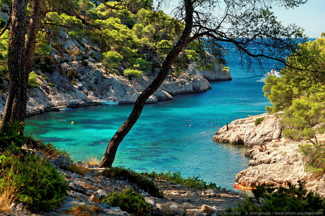 Une mer bleu turquoise - Calanque de Port Pin
[Littoral de Provence, entre Cassis et Marseille : 
Le Parc National des Calanques]
Mots-clés: les_plus_belles_images_de_nature mer alep mediterranee provence cassis parc_national_des_calanques cote-d-azur port-pin falaise couleur_bleu plage categ_ete