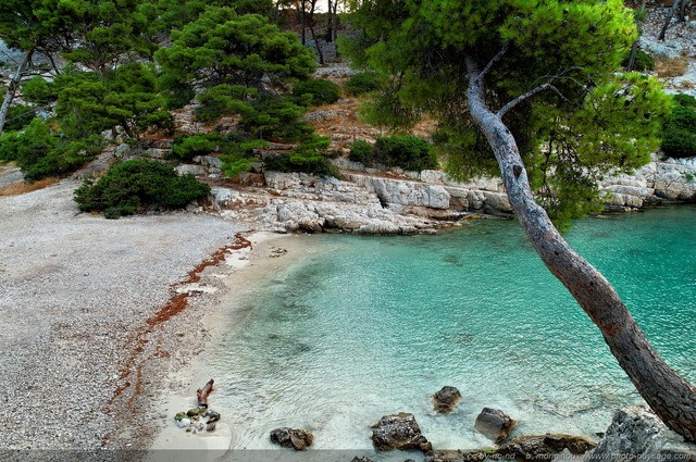 La plage de la calanque de Port Pin
[Littoral de Provence, entre Cassis et Marseille : 
Le Parc National des Calanques]
Mots-clés: mer mediterranee alep provence cassis parc_national_des_calanques cote-d-azur plage sable couleur_bleu crique marseille port-pin categ_pinede_garrigue