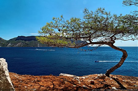 baie-de-cassis.jpg