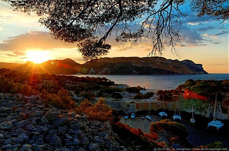 calanque-port-miou-03.jpg