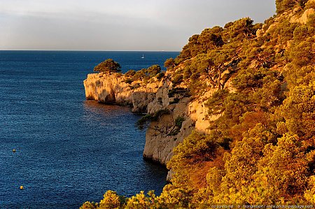 calanque-port-miou-04.jpg