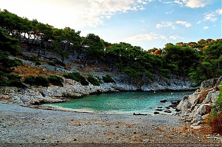 calanque-port-pin-02.jpg