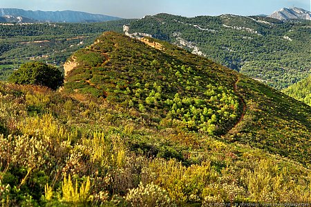 garrigue-cap-canaille-02.jpg