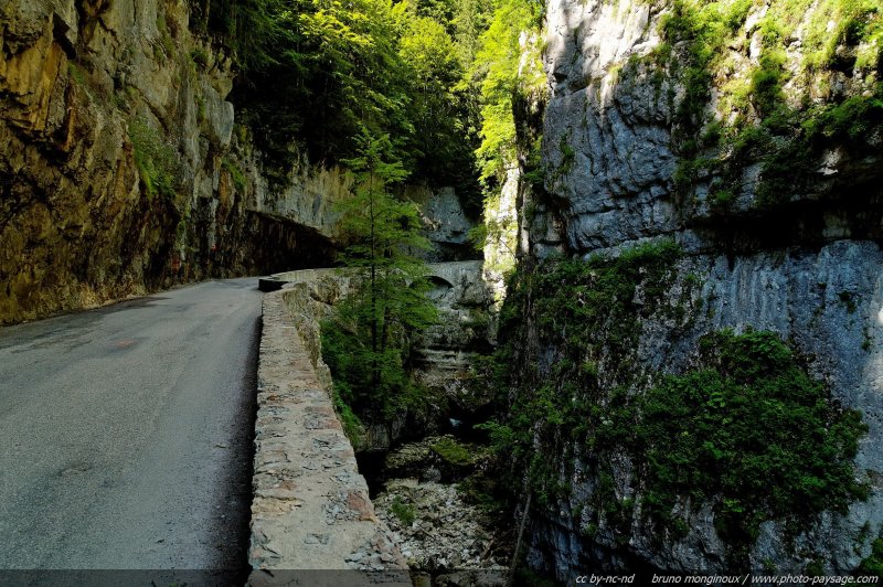 Une route entre les falaises des Gorges de la Bourne
[Montagnes du Vercors]
Mots-clés: vercors gorges_de_la_bourne route canyon
