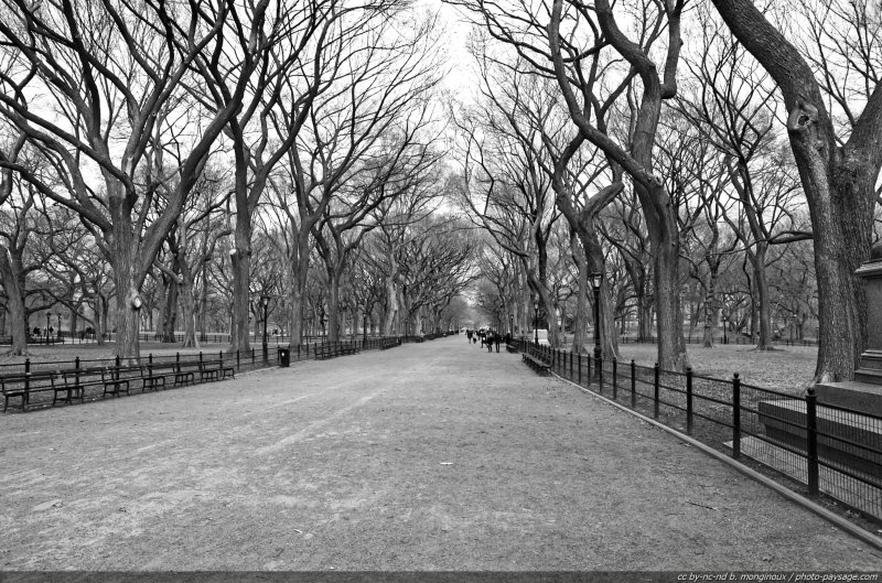 The Mall
Sud de Central Park, New York, USA
Mots-clés: usa etats-unis new-york central-park jardin manhattan