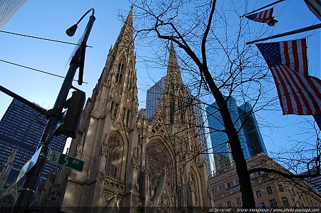 cathedrale-st-patrick-5-eme-avenue.jpg