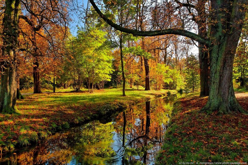 Le bois de Vincennes revêt ses plus beaux habits d'automne
Paris, France
Mots-clés: automne ile-de-france feuilles_mortes riviere ruisseau canal reflets miroir