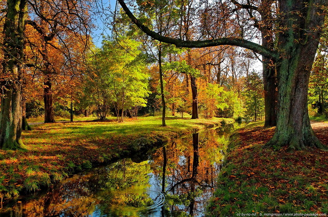 Le bois de Vincennes revêt ses plus beaux habits d'automne
Paris, France
Mots-clés: automne ile-de-france feuilles_mortes riviere ruisseau canal reflets miroir