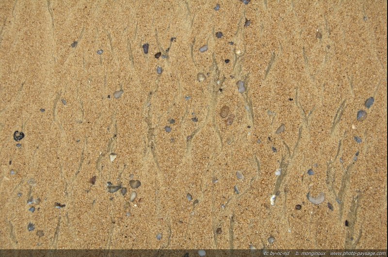 Sable et galets
Plage d'Antifer
Littoral de Haute-Normandie, France
Mots-clés: etretat normandie mer littoral plage falaise sable galet texture